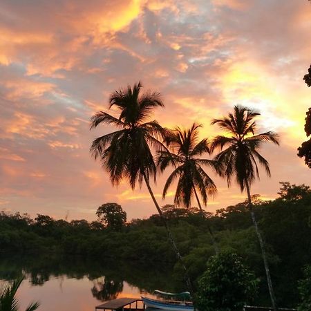 Panama Eco Resort Tierra Oscura Extérieur photo