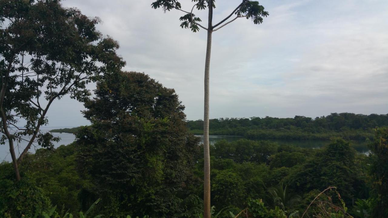 Panama Eco Resort Tierra Oscura Extérieur photo